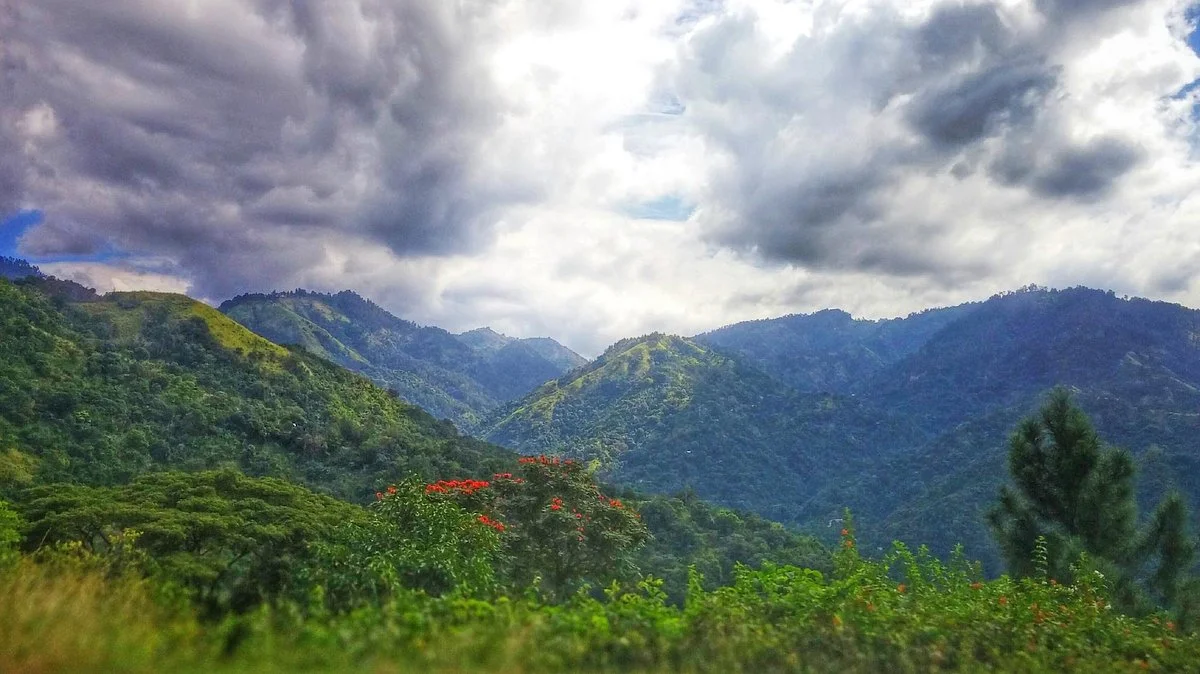Blue Mountains