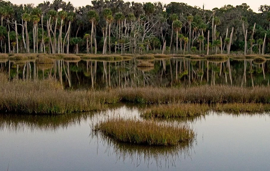 Ossabaw Island