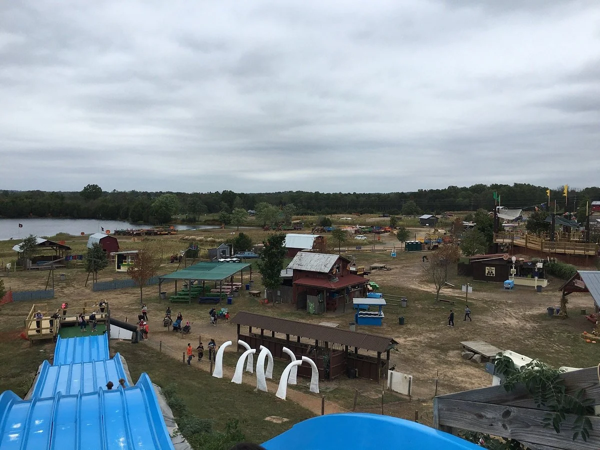 Cox Farms