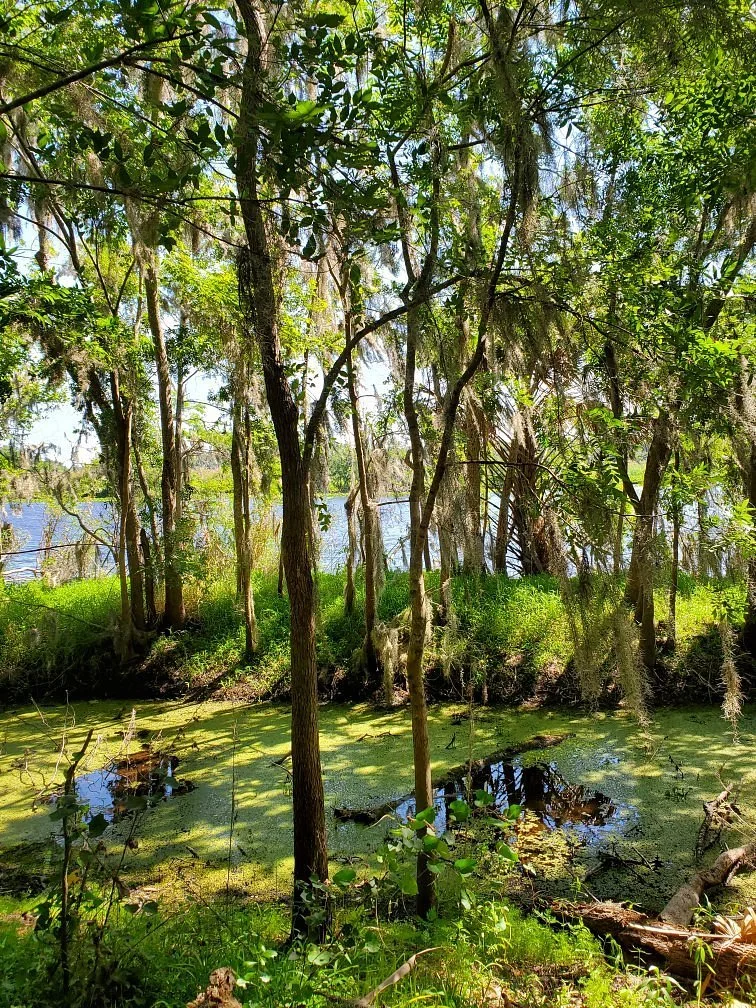 Black Bear Wilderness Area