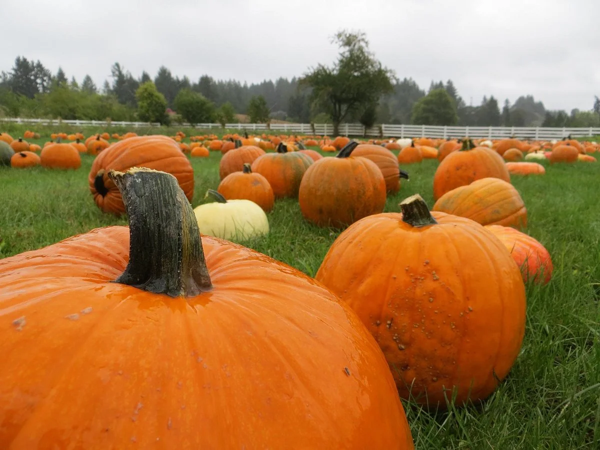 Roloff Farms