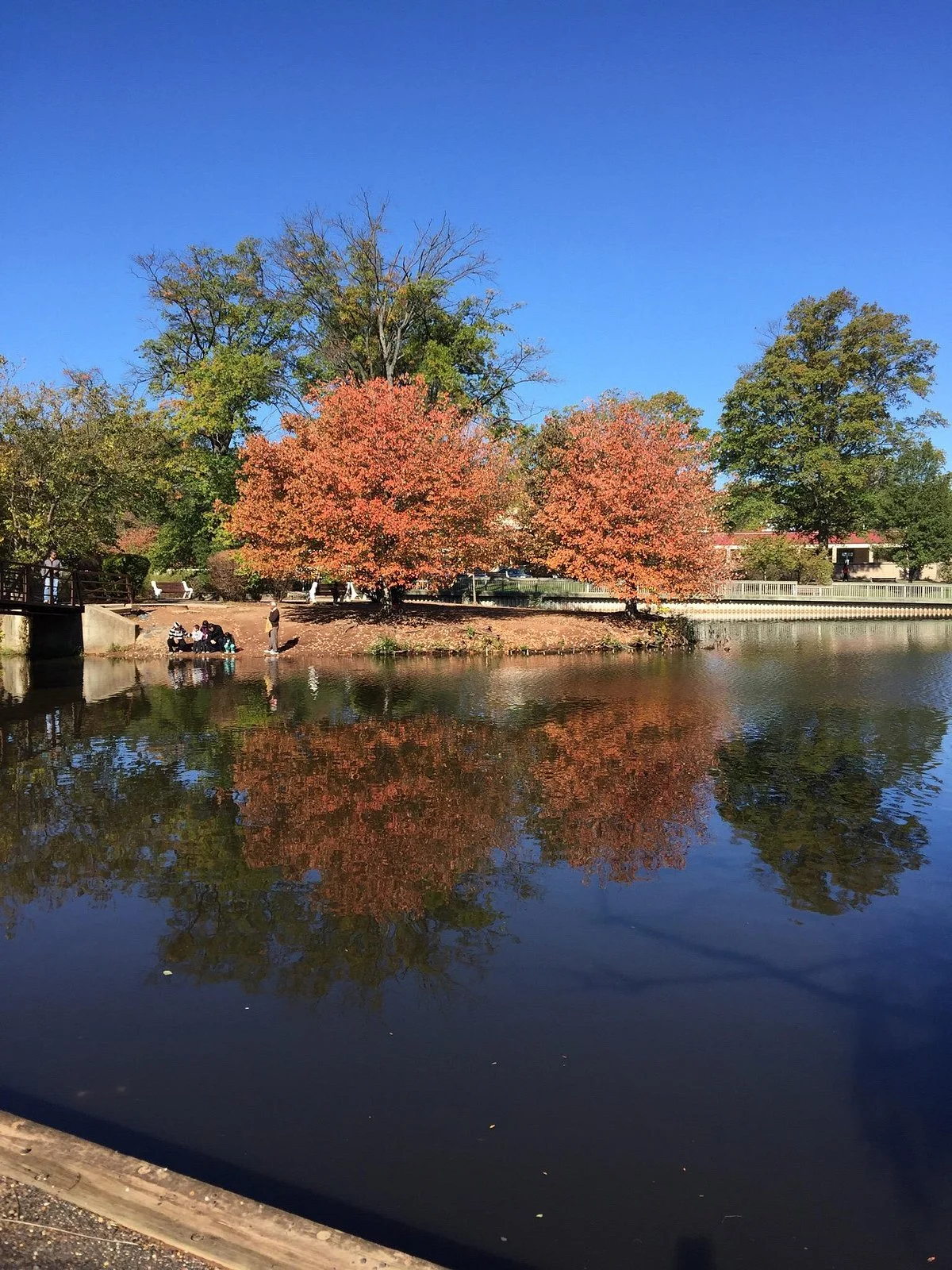 Roosevelt Park