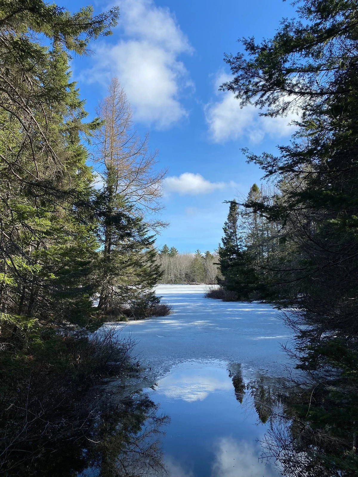 Irishtown Nature Park