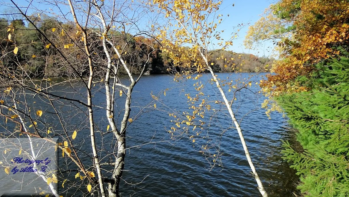 Carson Park