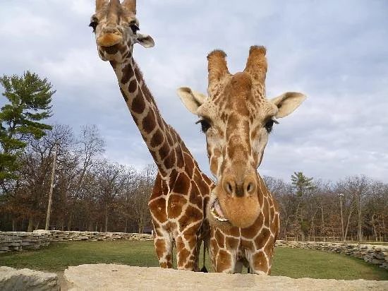 Timbavati Wildlife Park