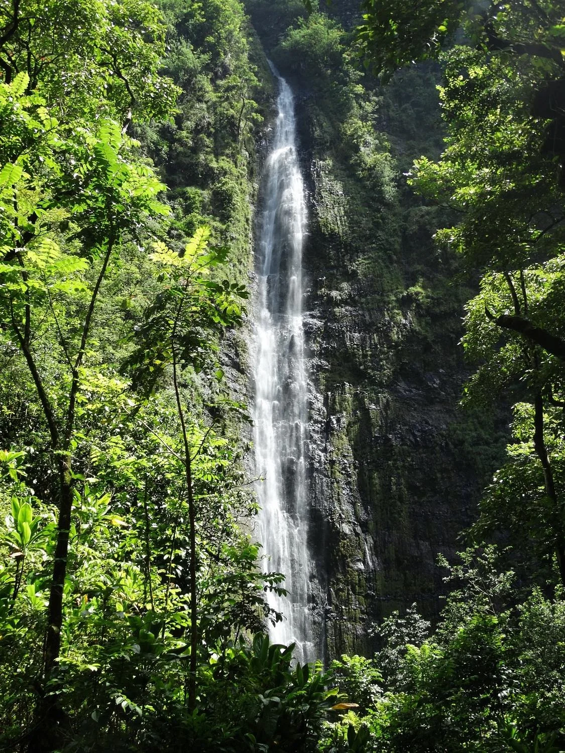 Pipiwai Trail