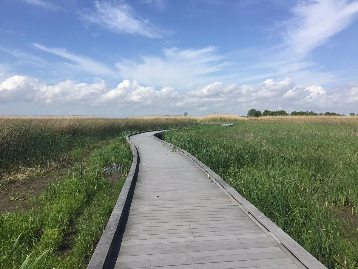 Sabine National Wildlife Refuge