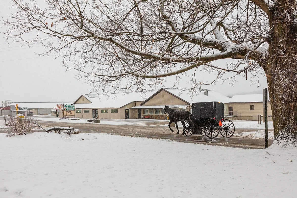 Hershberger's Farm & Bakery