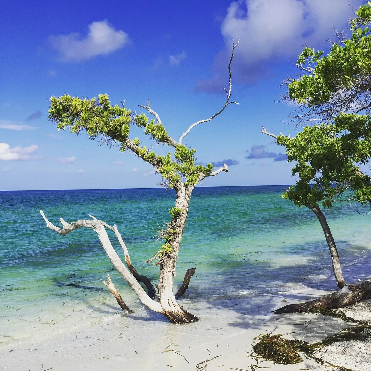 Cayo Costa State Park