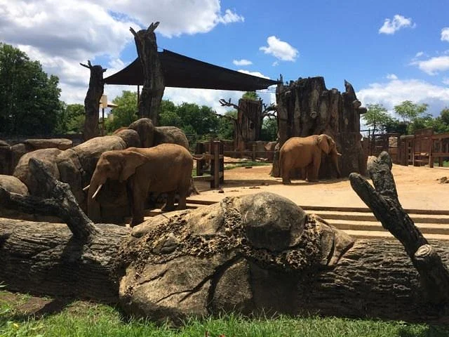 Zoo Knoxville