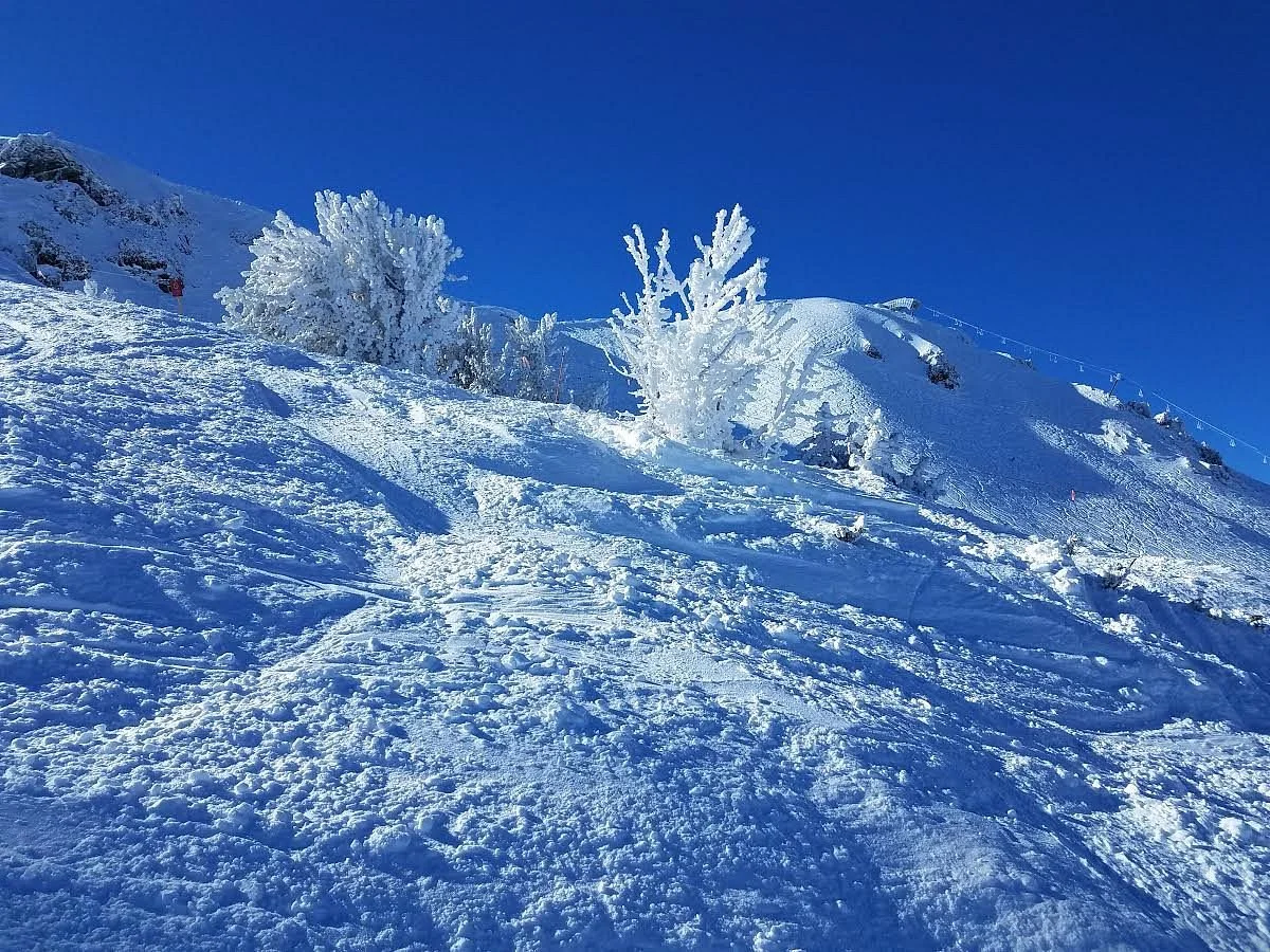 Mammoth Mountain