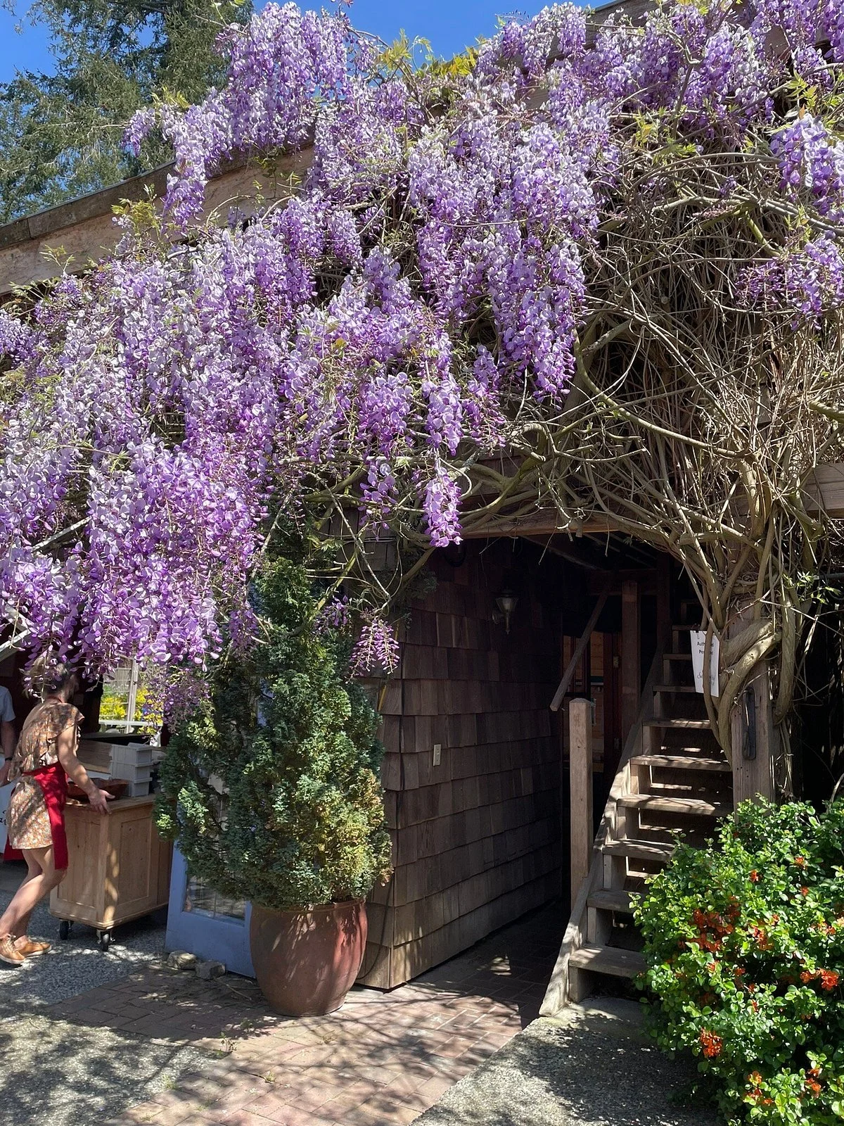 Salt Spring Island Cheese Company