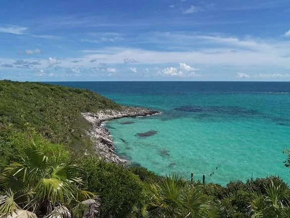 Rose Island