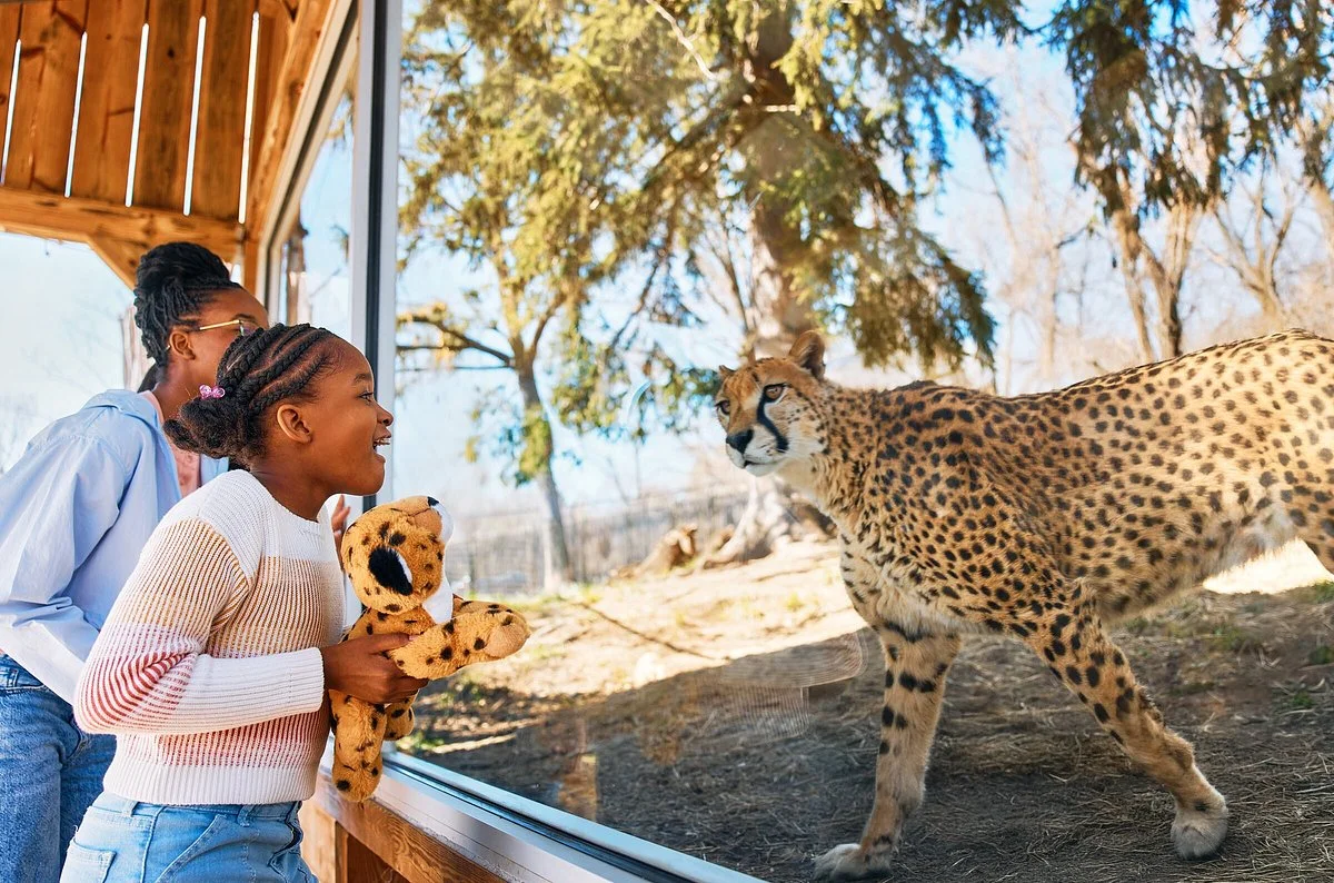 Oglebay Good Zoo