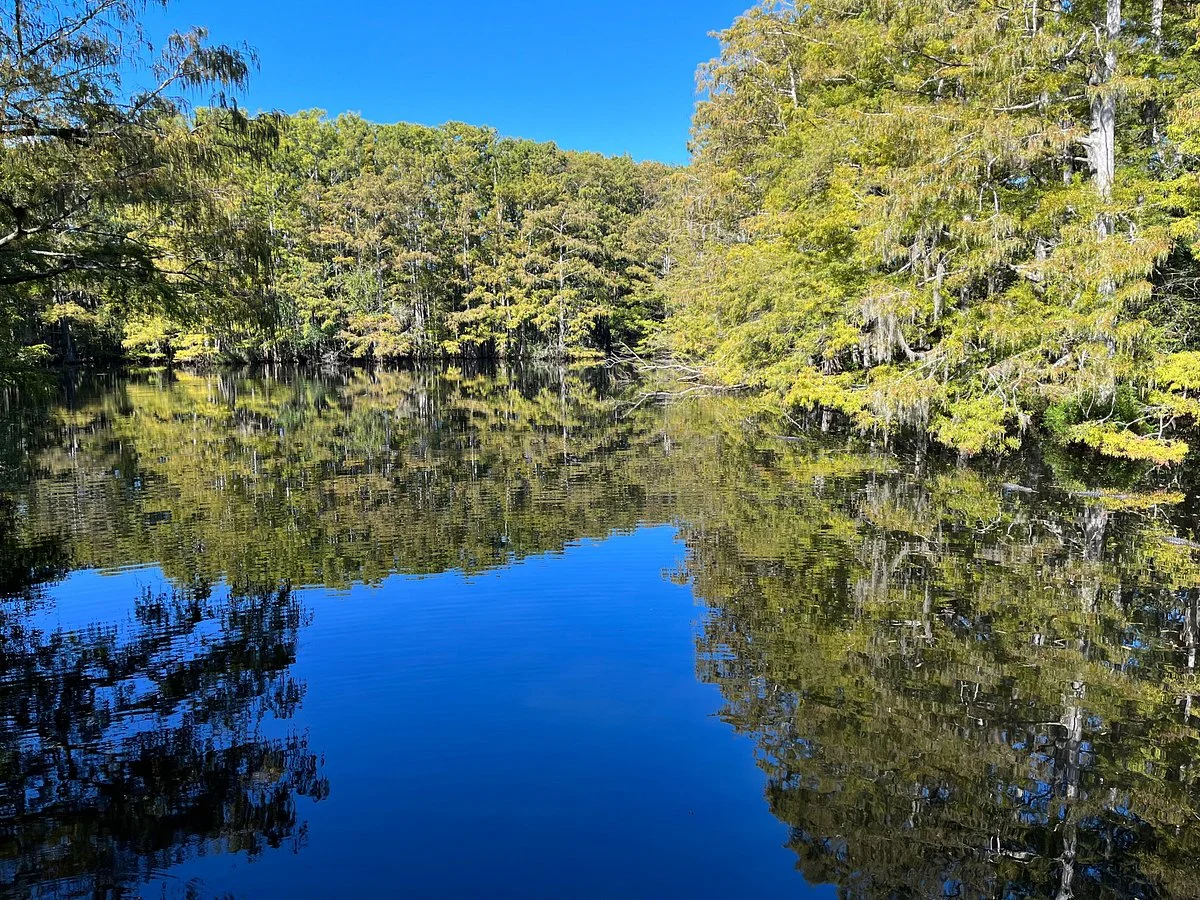 Babcock Ranch Preserve