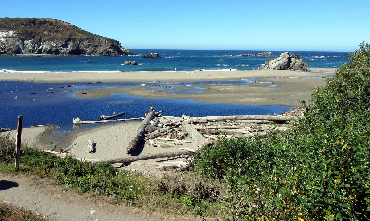 Harris Beach State Park