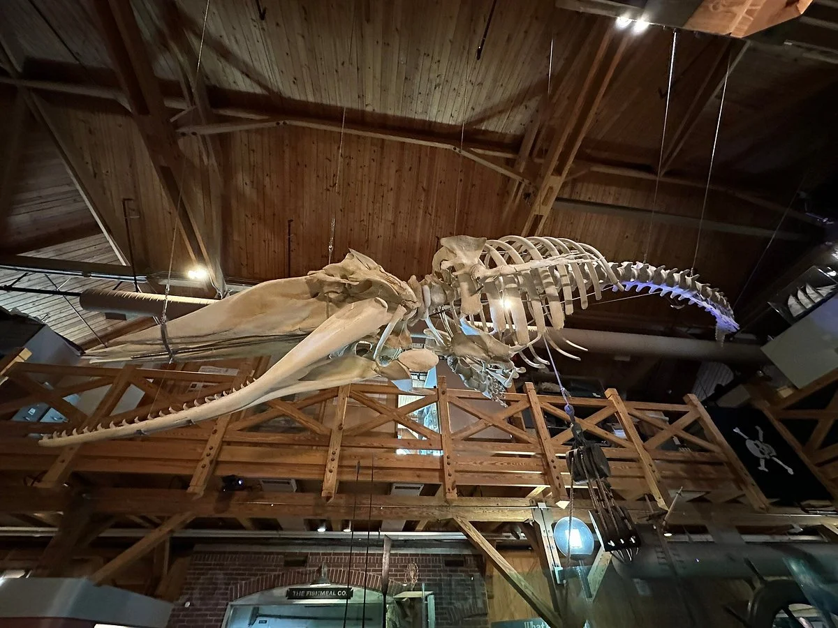 North Carolina Maritime Museum
