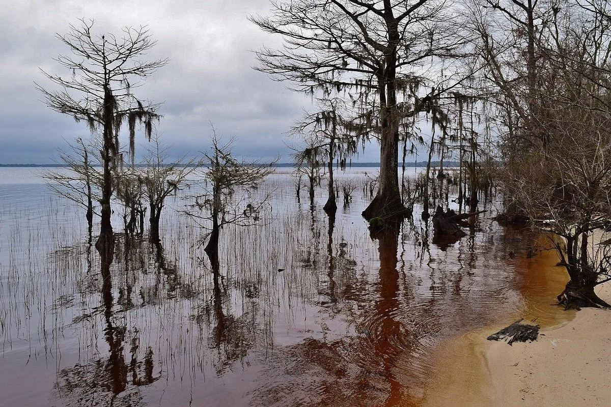 Lake Waccamaw State Park