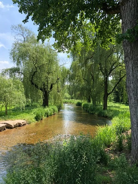 Allentown Rose Gardens