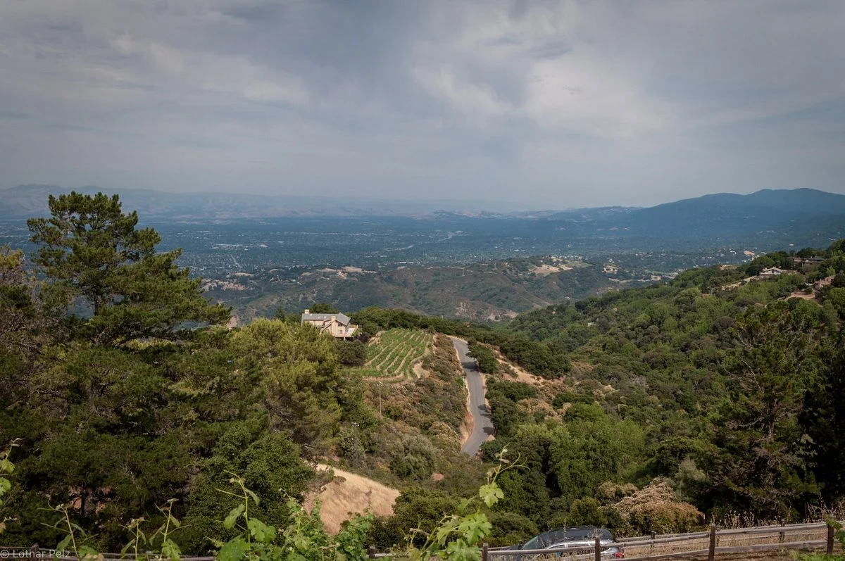 Ridge Vineyards