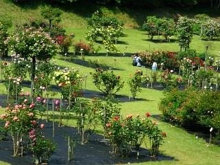 Machida City Nodatsu Park