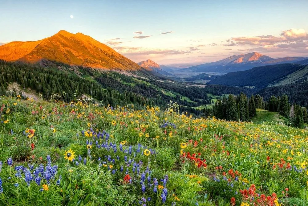 Kebler Pass