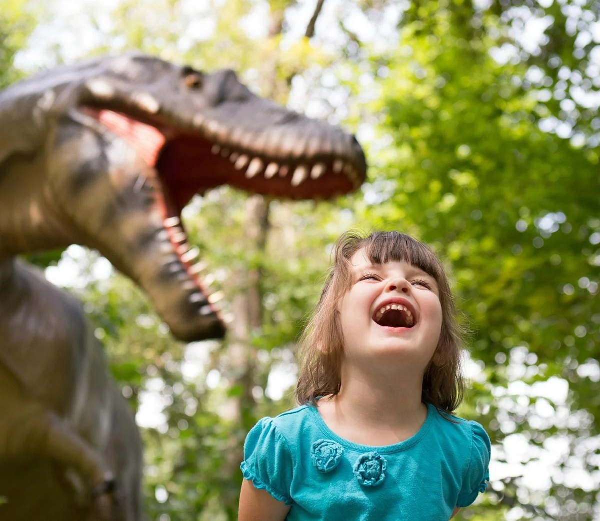 Museum of Life + Science