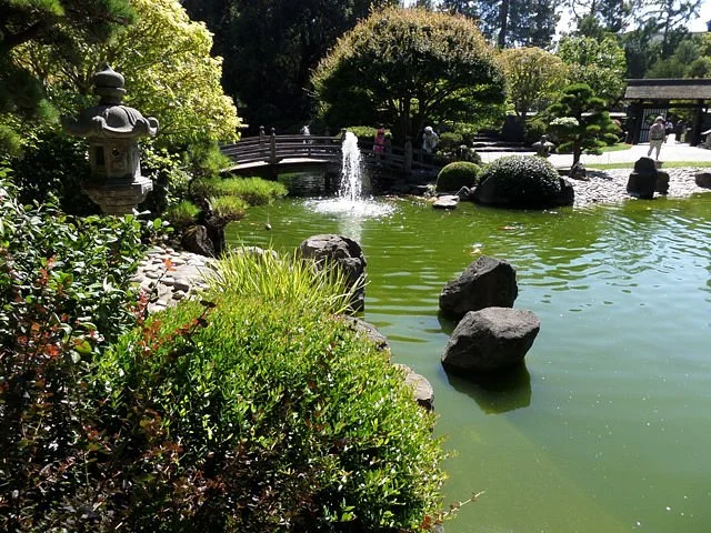 The San Mateo Japanese Garden
