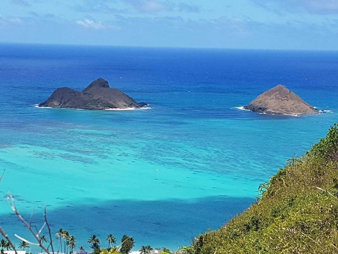 Pillbox Hike