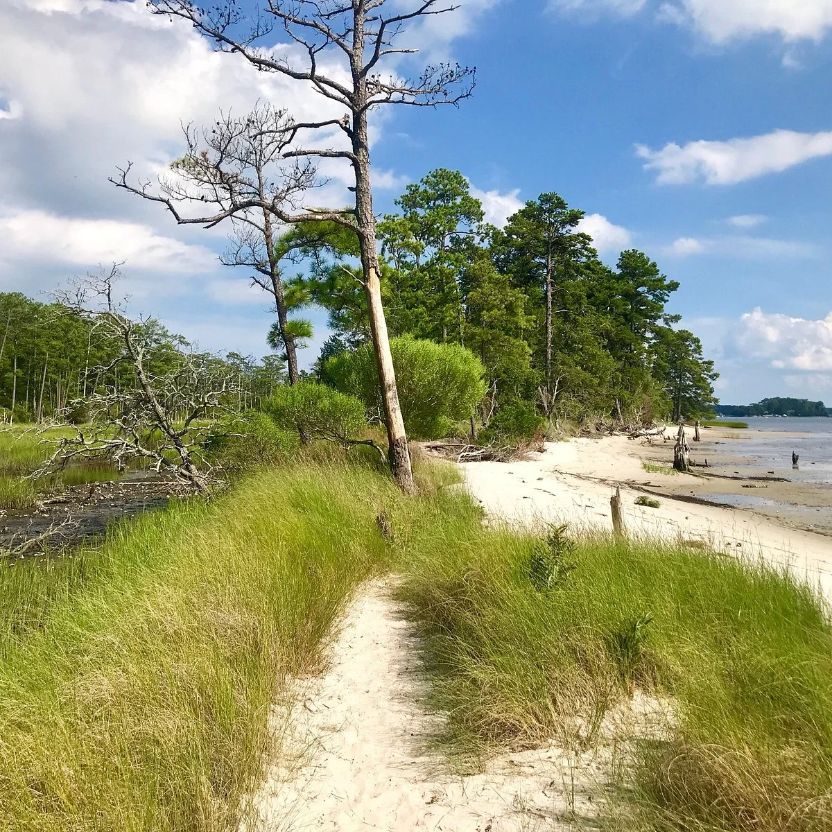 First Landing State Park