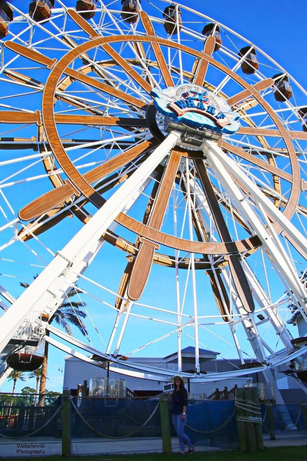 Wharf Ferris Wheel