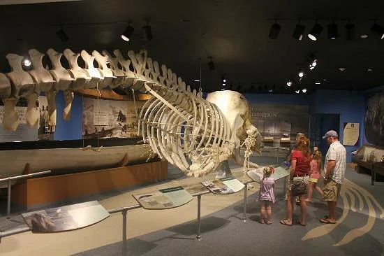 New Bedford Whaling Museum