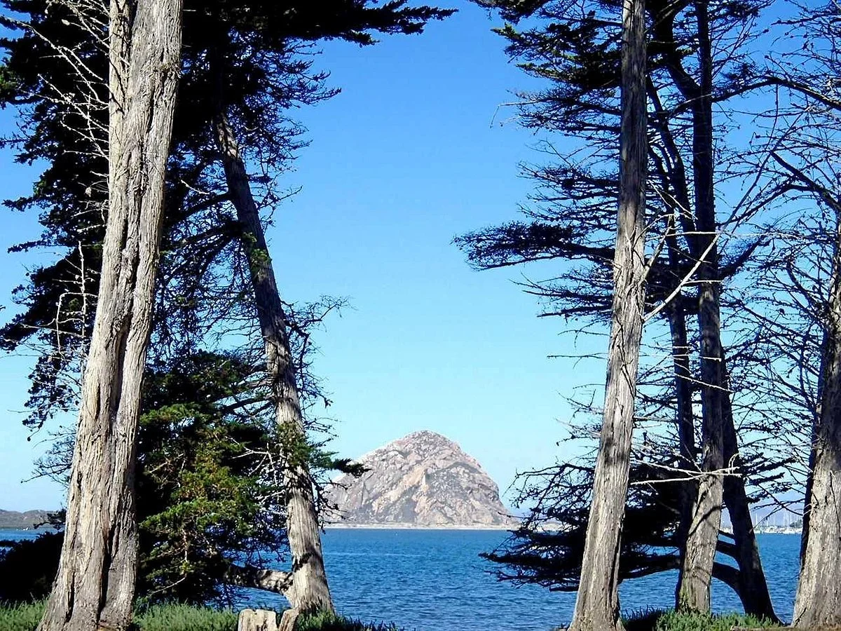 Morro Bay State Park