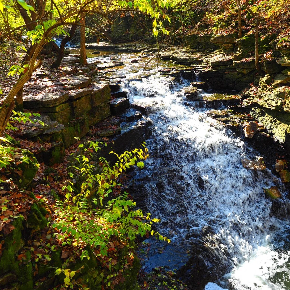 Indian Run Falls