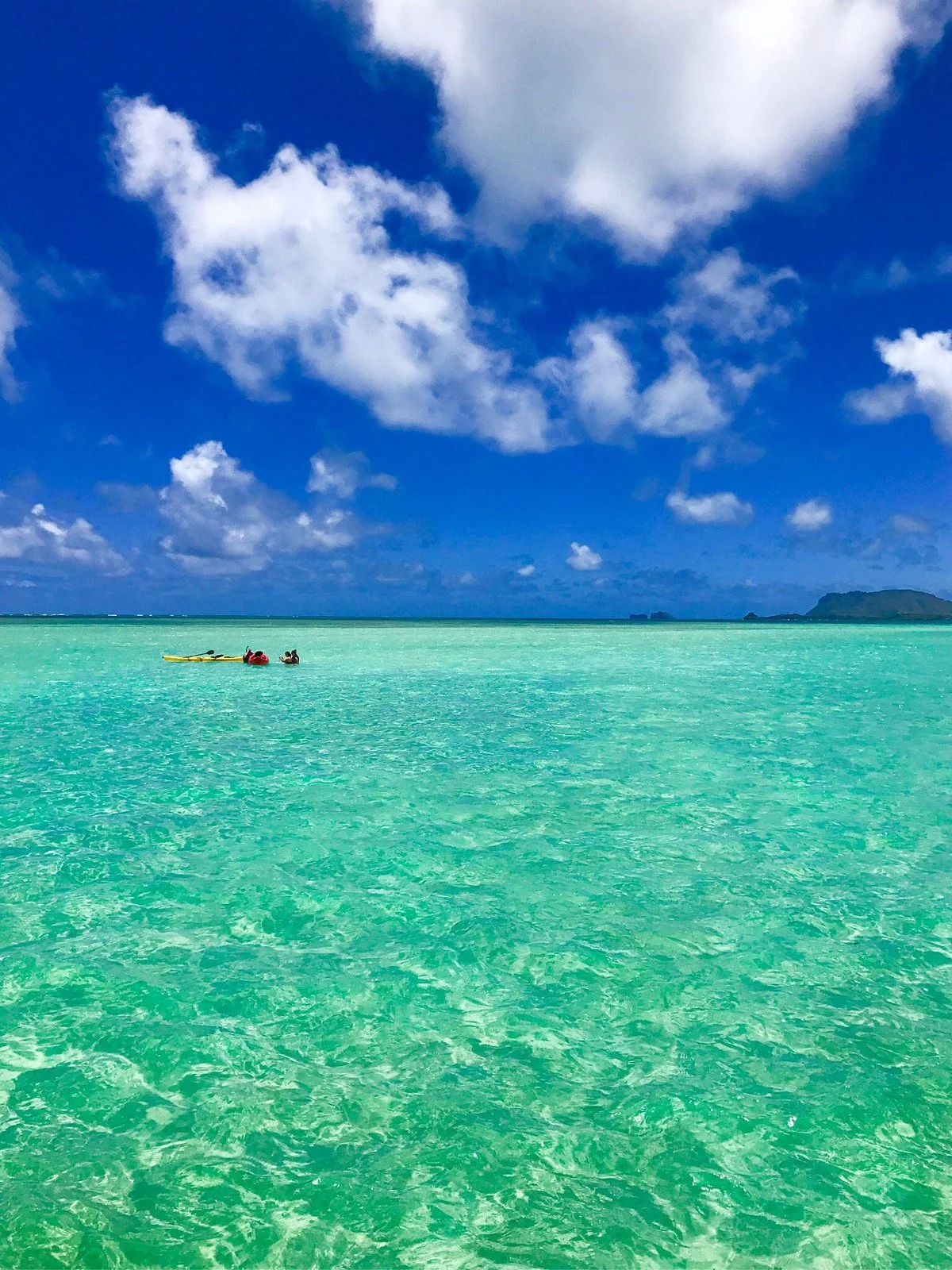 Kāneʻohe Bay