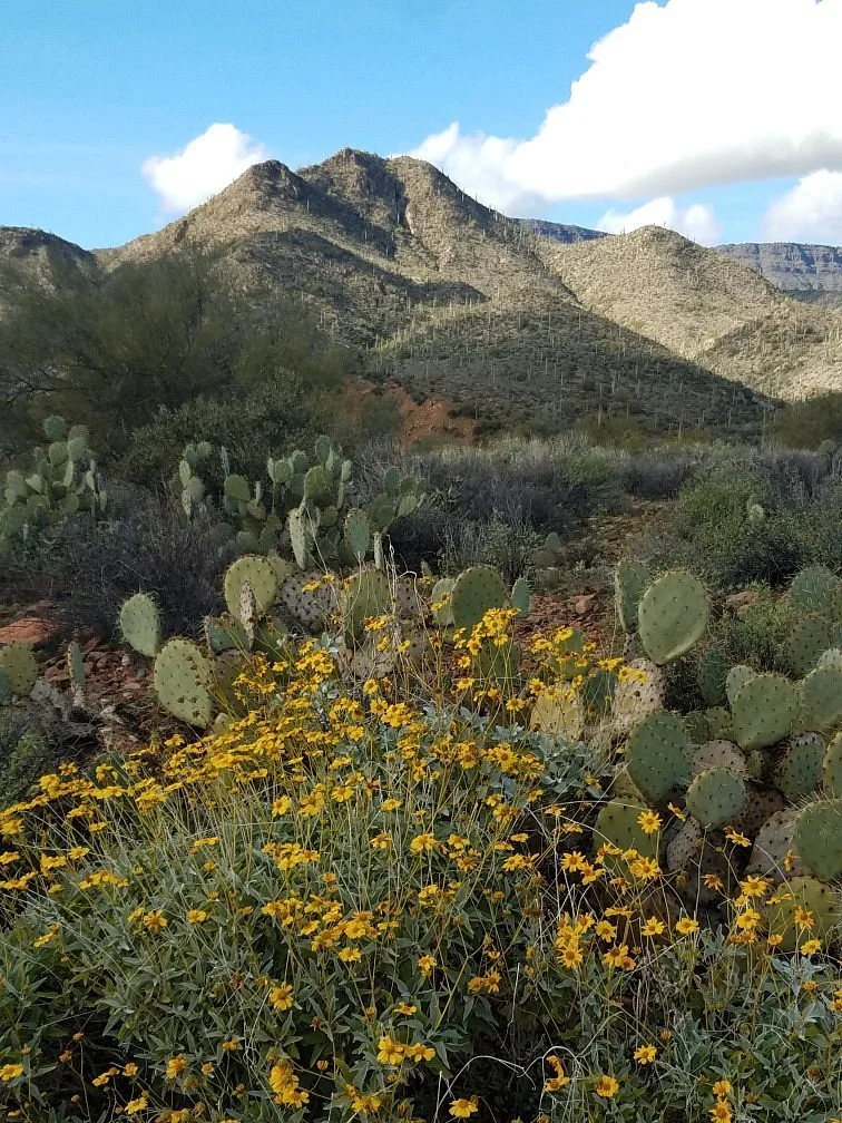 Spur Cross Ranch