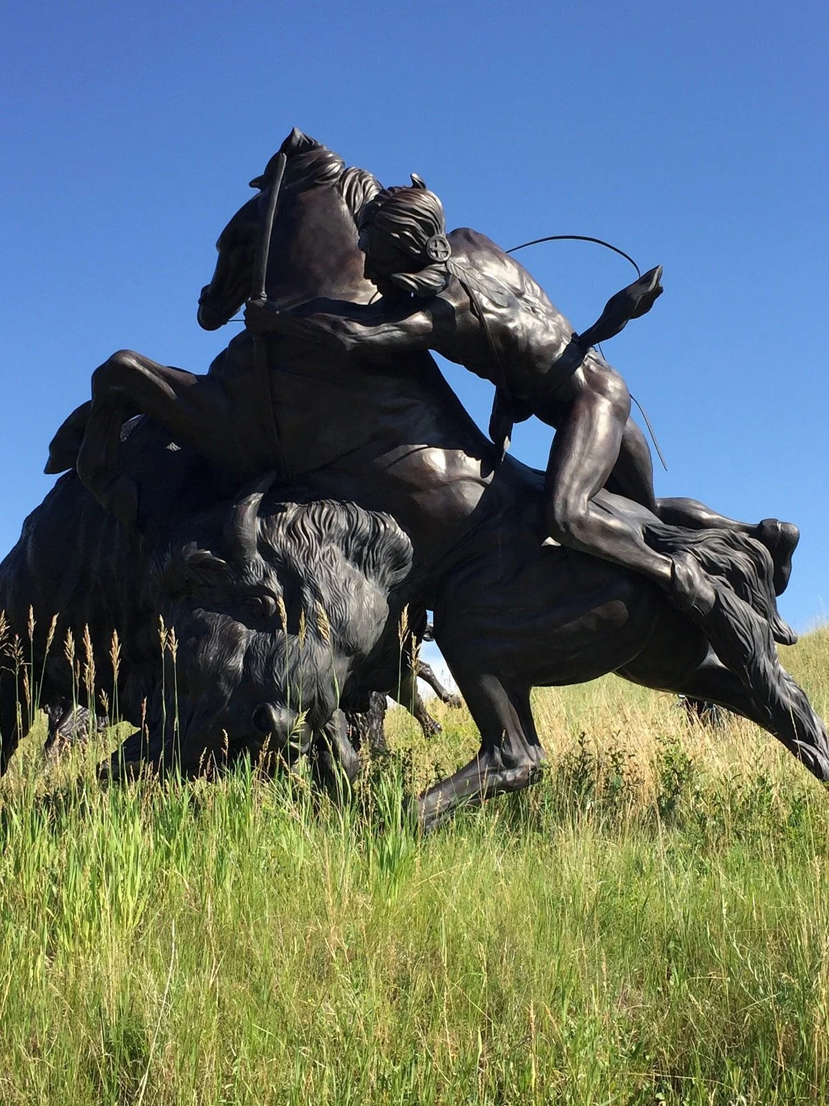 Tatanka: Story of the Bison