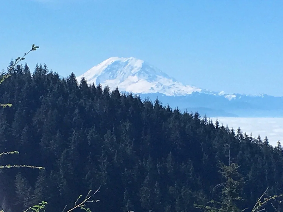 Tiger Mountain
