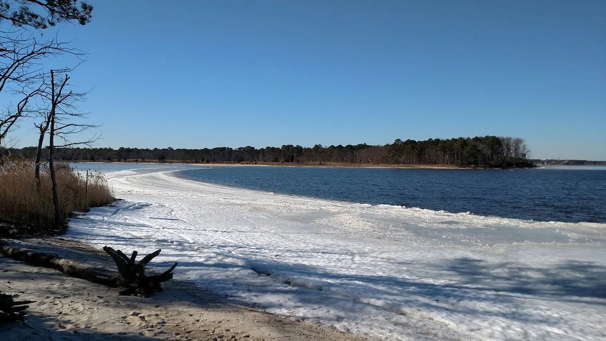 Cattus Island County Park