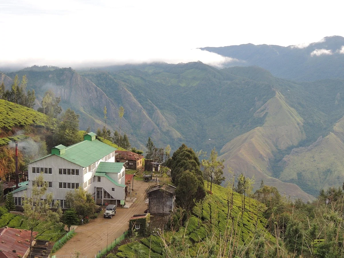Kolukkumalai Tea Estate