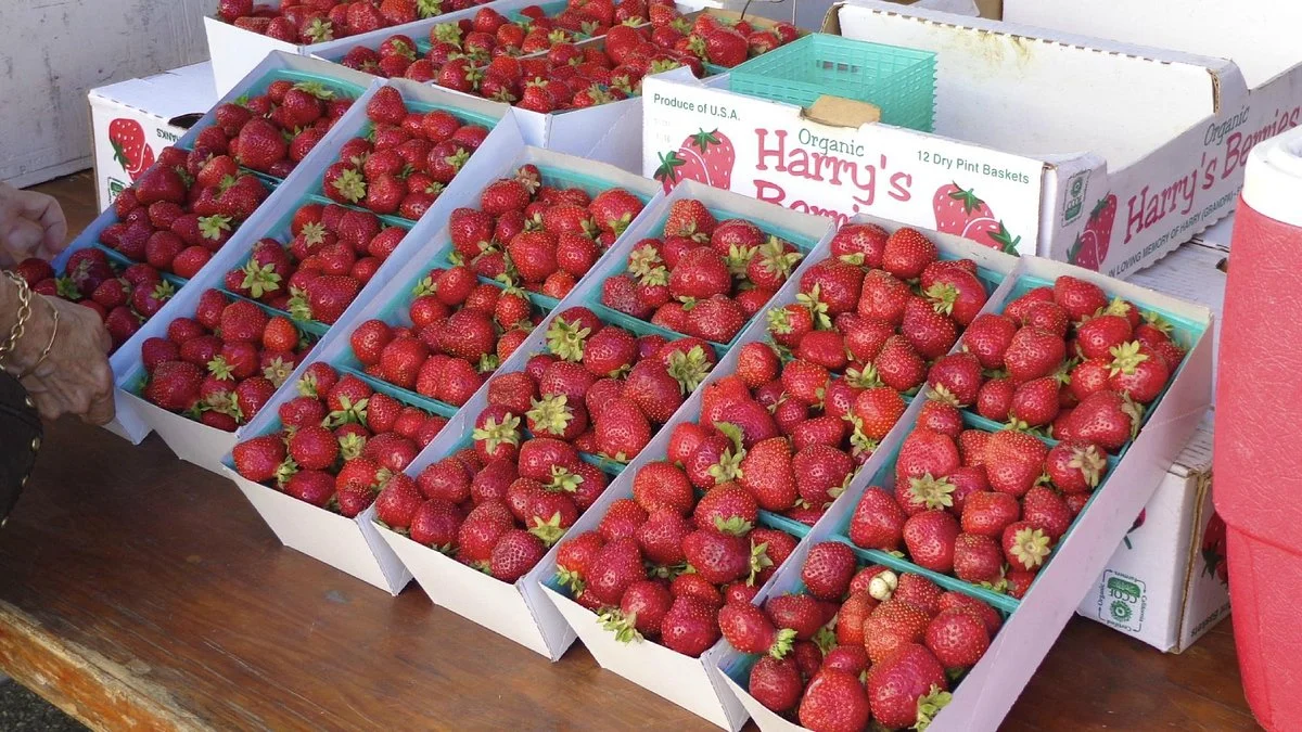 Santa Monica Farmers Market