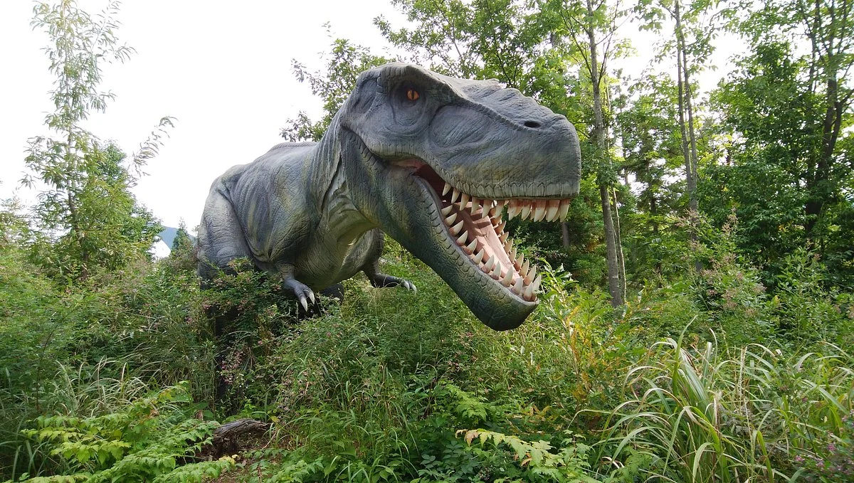 Katsuyama Dino Park