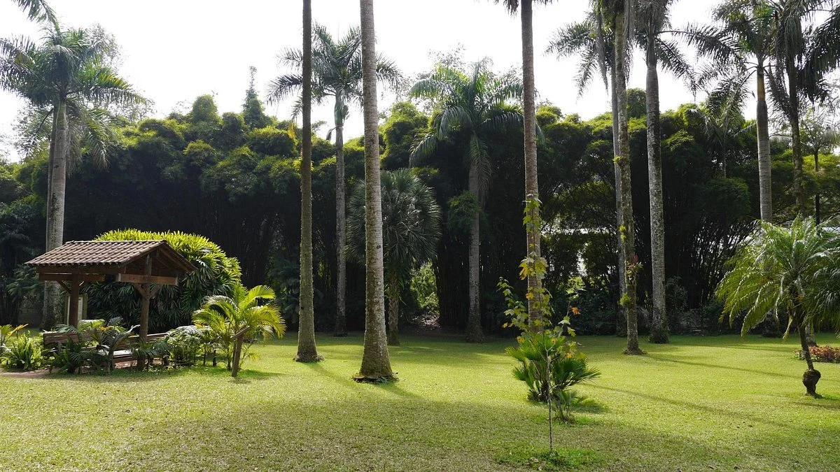 Jardin Botanico Francisco Javier Clavijero