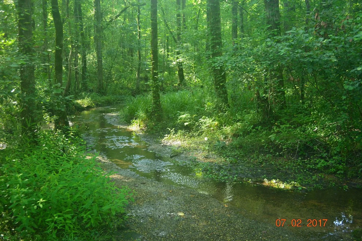 God's Acre Healing Springs