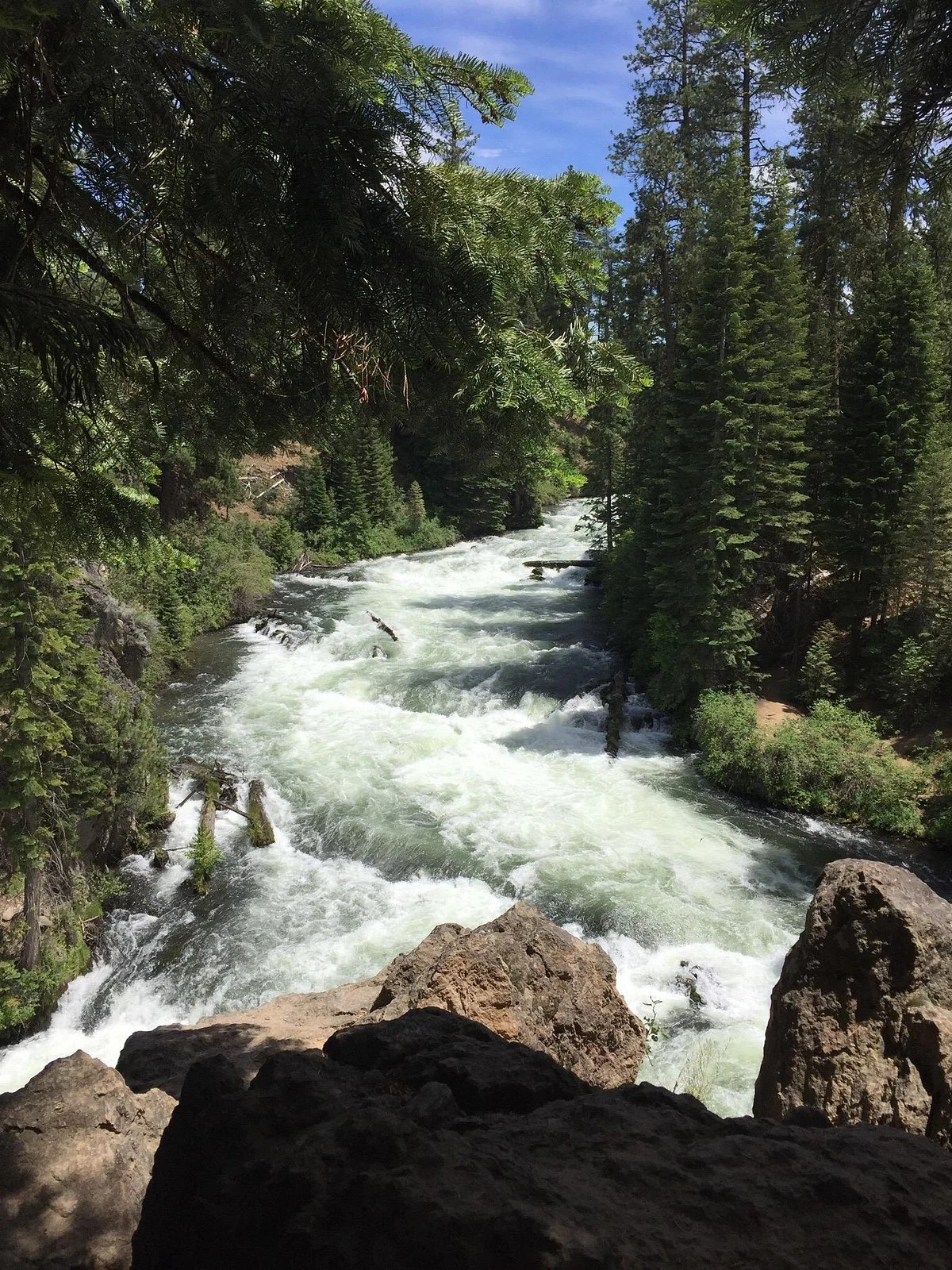 Trail to Benham Falls