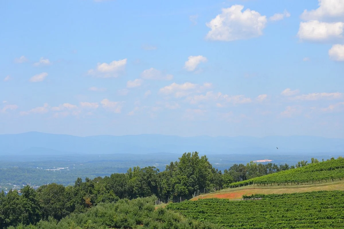 Carter Mountain Orchard