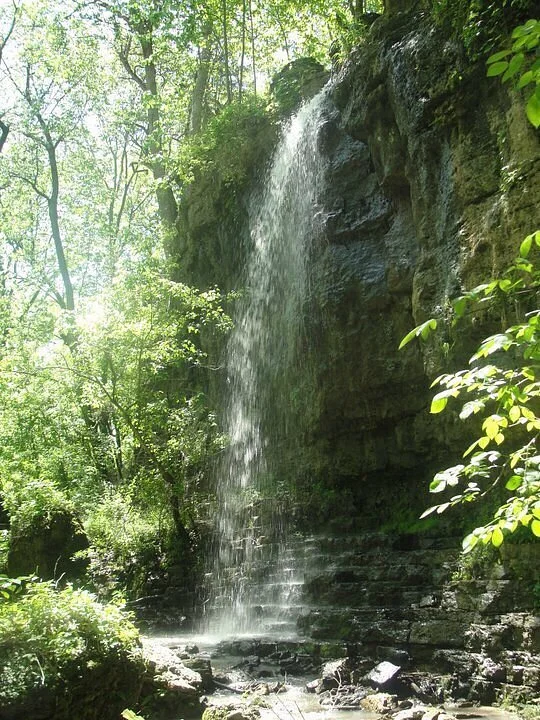 Clifton Gorge State Nature Preserve
