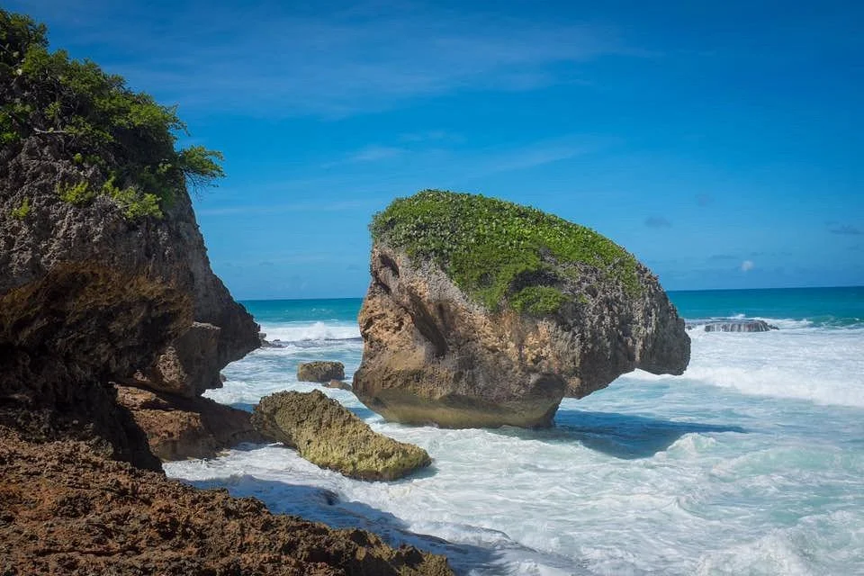 Survival Beach