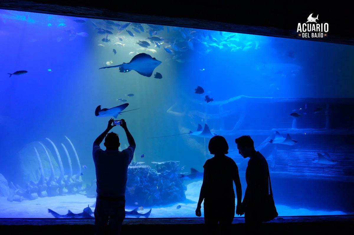 Acuario del Bajio