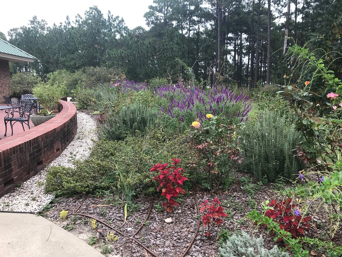 Sandhills Horticultural Gardens